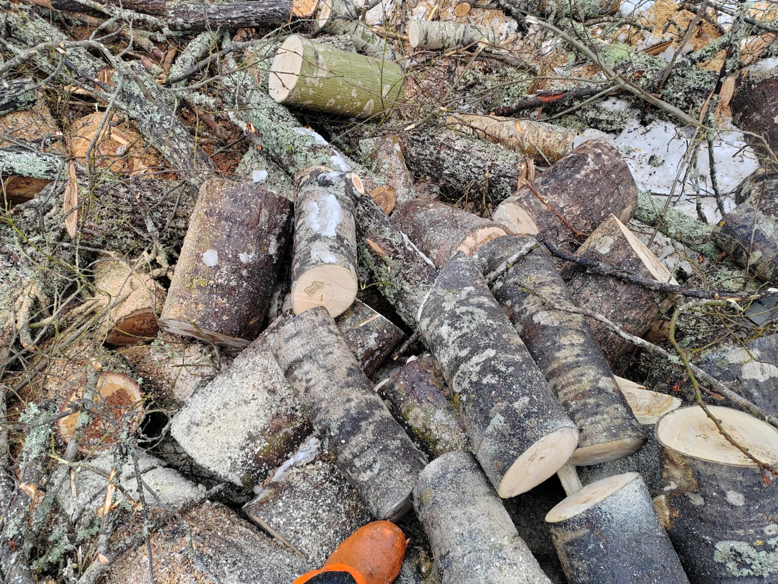 Polttopuiden teko mökillä – valmiit klapit helposti