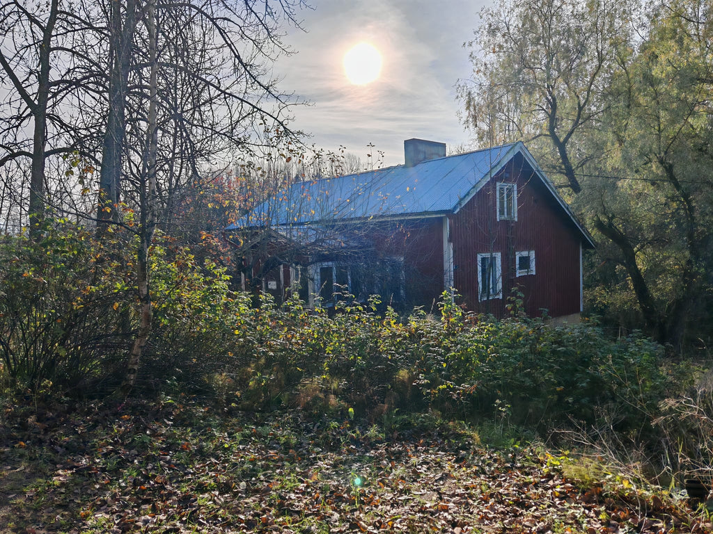 Mökkitalkkari työ